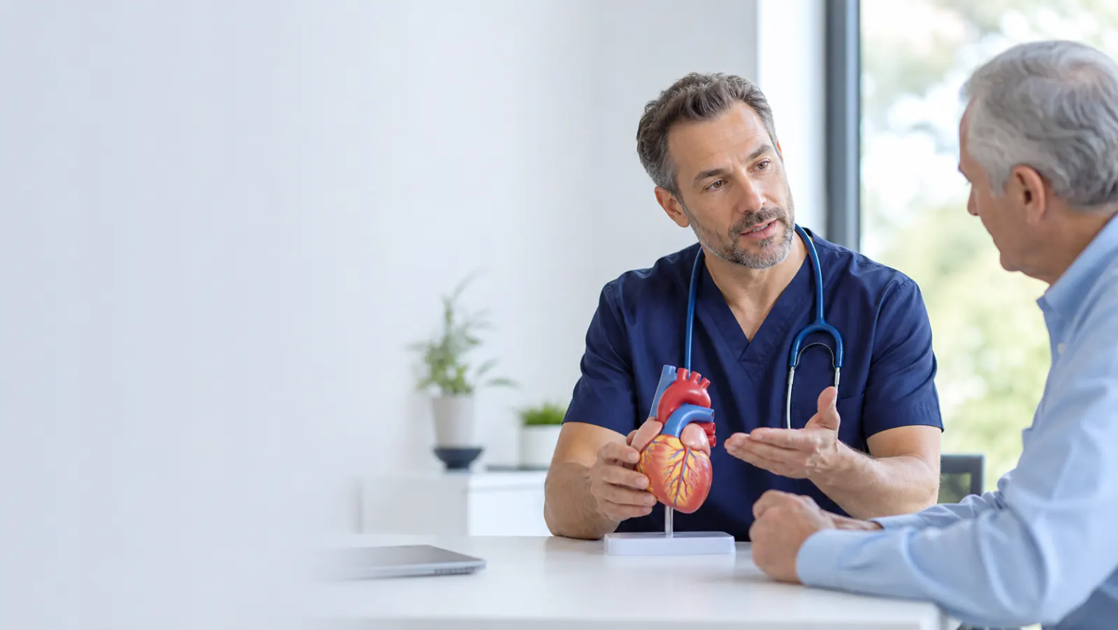 Cardiologist using a heart model to explain cardiac care to a patient